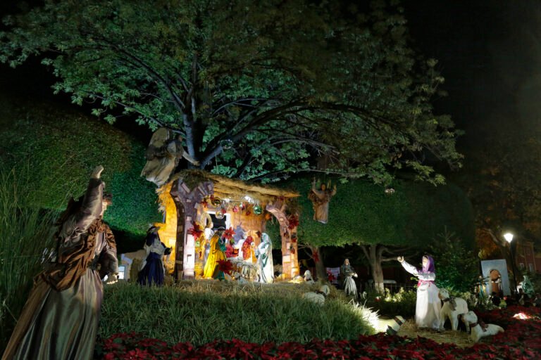 Nacimiento-Monumental-de-Zenea-Queretaro-Ciudad-bajo-el-arbol-scaled